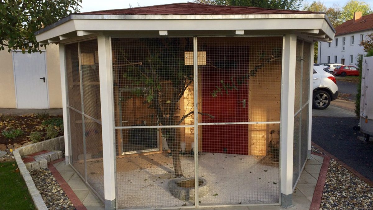 Außenvoliere Vorderansicht